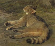 Wild Cat, 1850. Creator: Rosa Bonheur