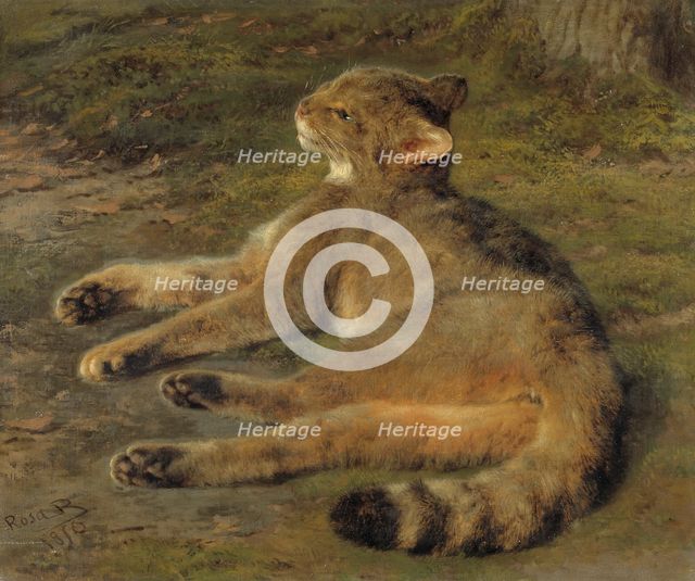 Wild Cat, 1850. Creator: Rosa Bonheur.
