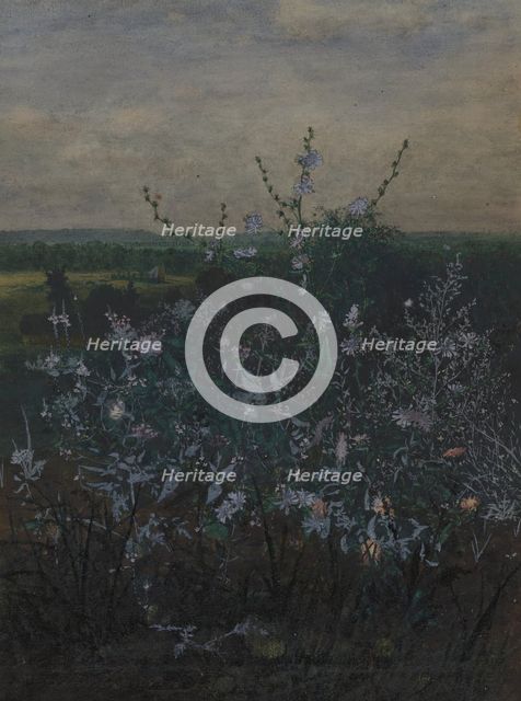 Wild Chicory in front of a Landscape, 1864. Creator: Leon Bonvin.