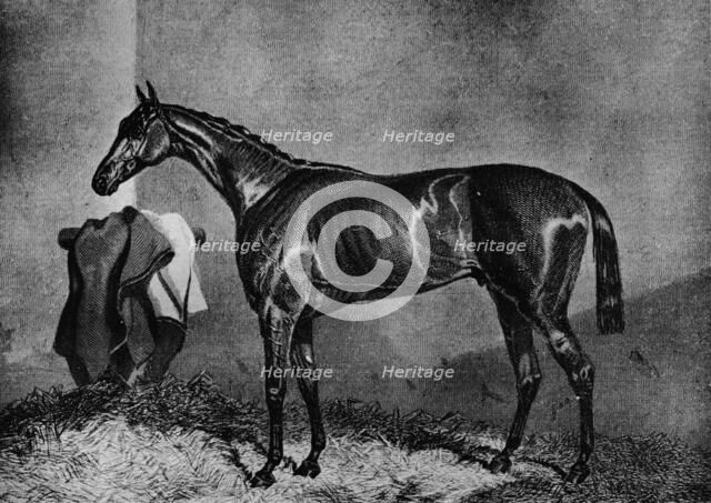 'Wild Dayrell', 1852-1870, (1911). Artist: Unknown.