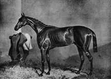 Wild Dayrell 1852-1870, (1911)