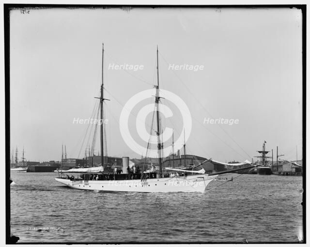 Wild Duck, between 1891 and 1899. Creator: Unknown.