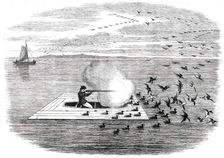 Wild Duck Shooting on the Potomac, 1850. Creator: Unknown