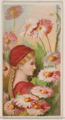 Wild English Daisy: Daintiness, from the series Floral Beauties and Language of Flowers (N..., 1892. Creator: Donaldson Brothers