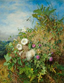 Wild flowers at the corner of a cornfield. Creator: Mutrie, Martha Darley (1824-1885)