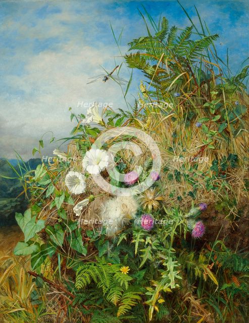 Wild flowers at the corner of a cornfield. Creator: Mutrie, Martha Darley (1824-1885).