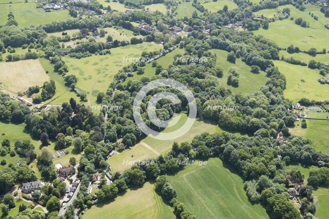 Wild gardens to Warley Place, Essex, 2018. Creator: Historic England.