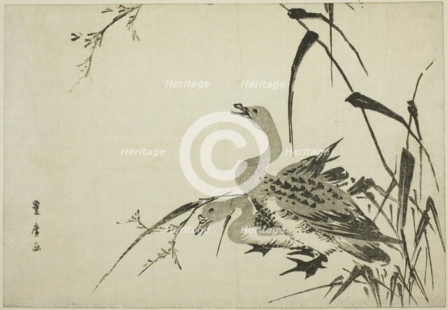 Wild Geese and Reeds, c. 1810. Creator: Utagawa Toyohiro.