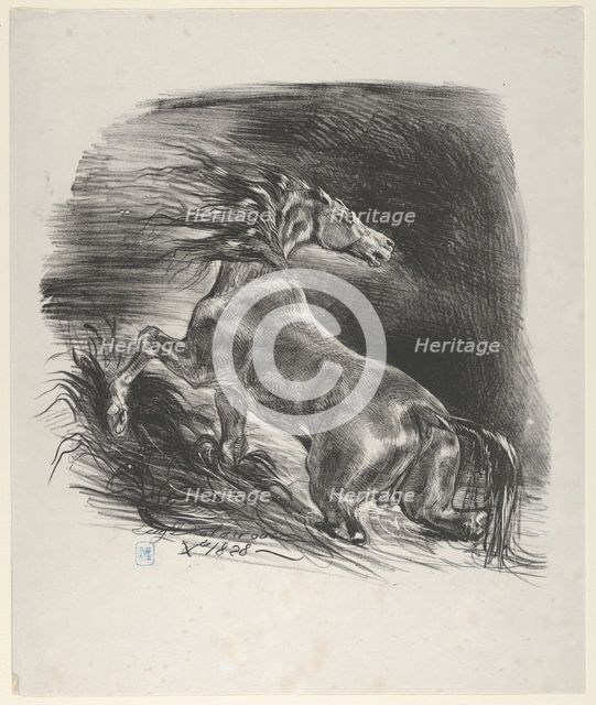 Wild Horse, 1828., 1828. Creator: Eugene Delacroix.