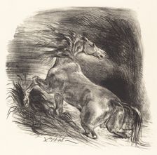 Wild Horse Coming out of the Water (Cheval sauvage), 1828. Creator: Eugene Delacroix
