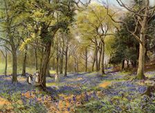 Wild Hyacinths in a Surrey Copse 1906