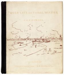 Wild Life on a Tidal Water, 1890. Creators: Peter Henry Emerson, T. F. Goodall