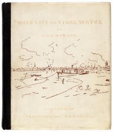 Wild Life on a Tidal Water, 1890. Creators: Peter Henry Emerson, T. F. Goodall