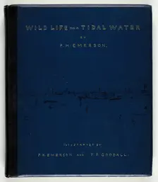 Wild Life on a Tidal Water: The Adventures of a House-Boat and Her Crew, 1890. Creator: Peter Henry Emerson