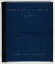 Wild Life on a Tidal Water: The Adventures of a House-Boat and Her Crew, 1890. Creator: Peter Henry Emerson