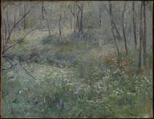 Wild Parsley, 1900. Creator: Sarah Paxton Ball Dodson