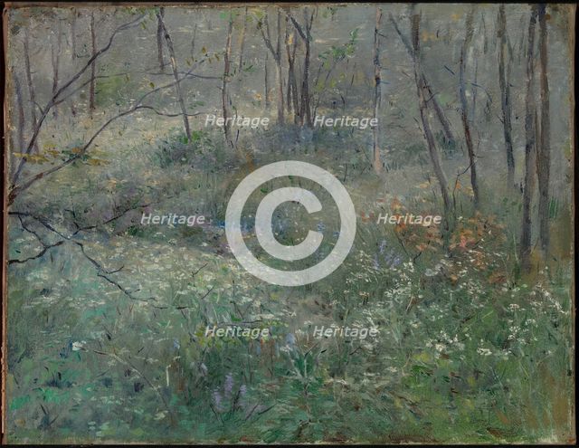 Wild Parsley, 1900. Creator: Sarah Paxton Ball Dodson.