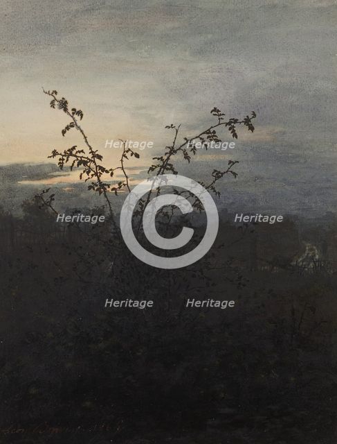 Wild Rose Bush in front of a Nocturnal Landscape, 1864. Creator: Leon Bonvin.