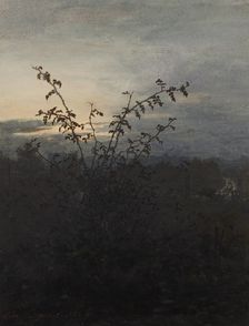 Wild Rose Bush in front of a Nocturnal Landscape, 1864. Creator: Leon Bonvin
