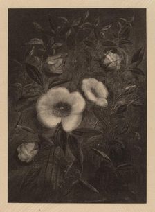Wild Roses, 1883. Creator: Elbridge Kingsley