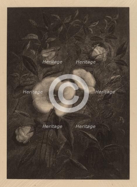 Wild Roses, 1883. Creator: Elbridge Kingsley.