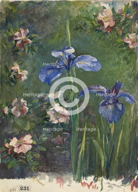 Wild Roses and Irises, 1887. Creator: John La Farge.