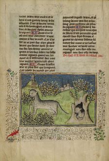Wildcats; Livre de la Chasse, about 1430-1440. Creator: Unknown