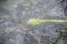 Wildfire damage surrounding Merryton Low bowl barrow and triangulation pillar, Staffordshire, 2018. Creator: Emma Trevarthen