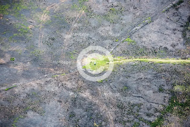 Wildfire damage surrounding Merryton Low bowl barrow and triangulation pillar, Staffordshire, 2018. Creator: Emma Trevarthen.