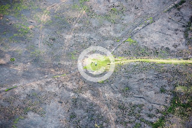 Wildfire damage surrounding Merryton Low bowl barrow and triangulation pillar, Staffordshire, 2018. Creator: Emma Trevarthen.