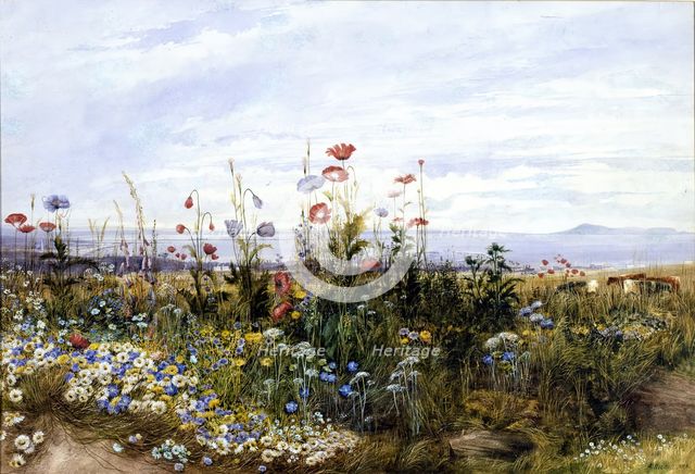 Wildflowers with a View of Dublin Bay from Kingstown, 1830s. Creator: Andrew Nicholl.