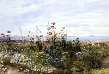 Wildflowers with a View of Dublin Bay from Kingstown, 1830s. Creator: Andrew Nicholl