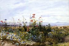 Wildflowers with a View of Dublin Bay from Kingstown, 1830s. Creator: Andrew Nicholl