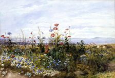Wildflowers with a View of Dublin Bay from Kingstown, 1830s. Creator: Andrew Nicholl