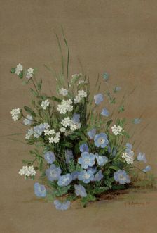 Wildflowers with forget-me-nots, 1893. Creator: Chittenden, Alice Brown (1859-1944)