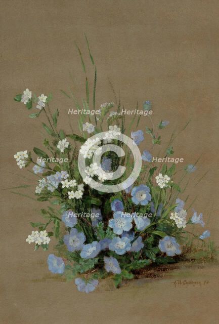 Wildflowers with forget-me-nots, 1893. Creator: Chittenden, Alice Brown (1859-1944).