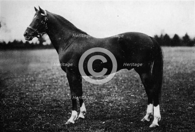 'Wildfowler', 19th century, (1911). Artist: Unknown.