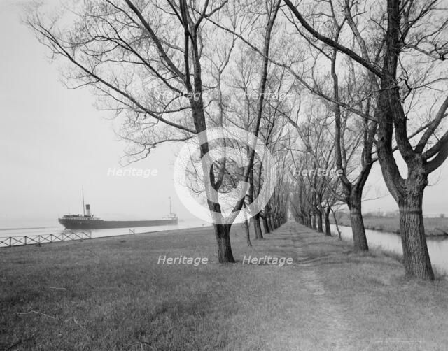 Willow Avenue, Star Island, Ste. Claire [sic] Flats, Mich., c.between 1910 and 1920. Creator: Unknown.