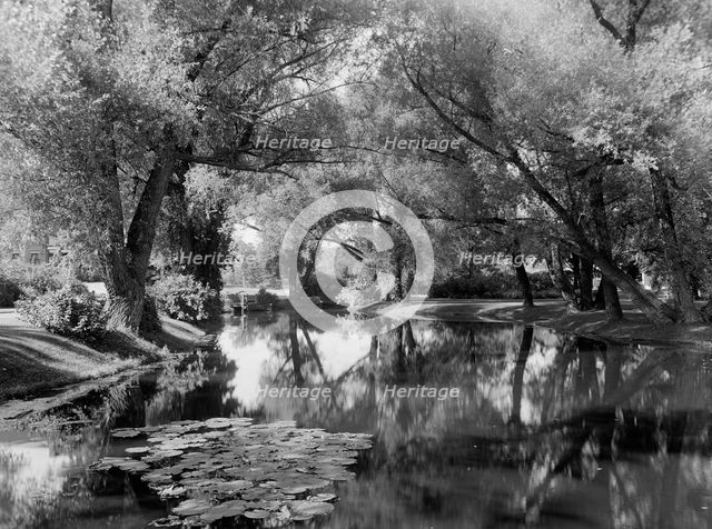 Willow Brook, home of Zenas Crane, Dalton, Mass., (c1909?). Creator: Unknown.