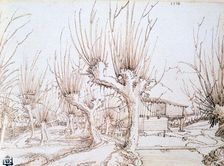 Willow Plantation 1514. Artist: Wolf Huber