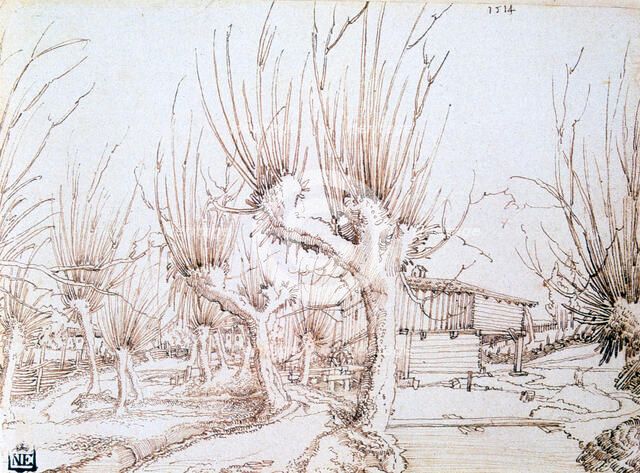'Willow Plantation', 1514. Artist: Wolf Huber