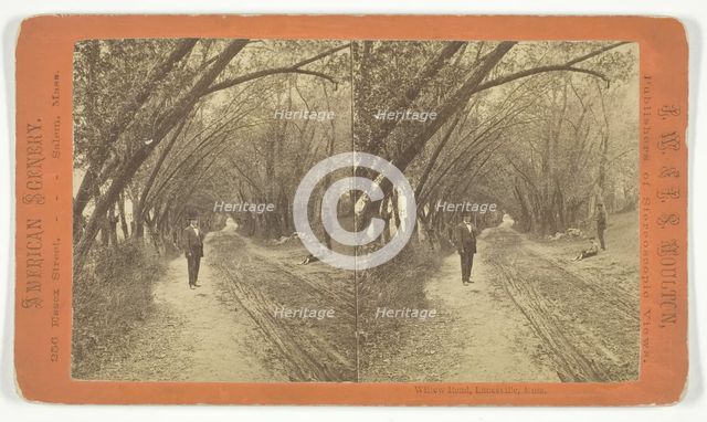 Willow Road, Lanesville, Massachusetts, 1873/81.  Creator: J.W. & J.S. Moulton.
