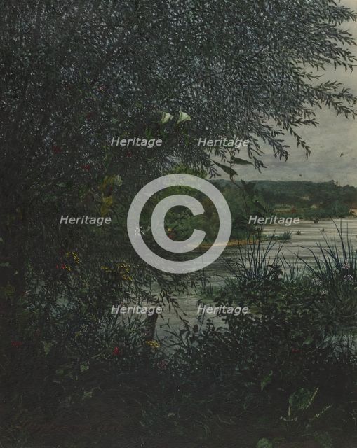 Willow Tree and Convolvulus in front of a River, 1865. Creator: Leon Bonvin.