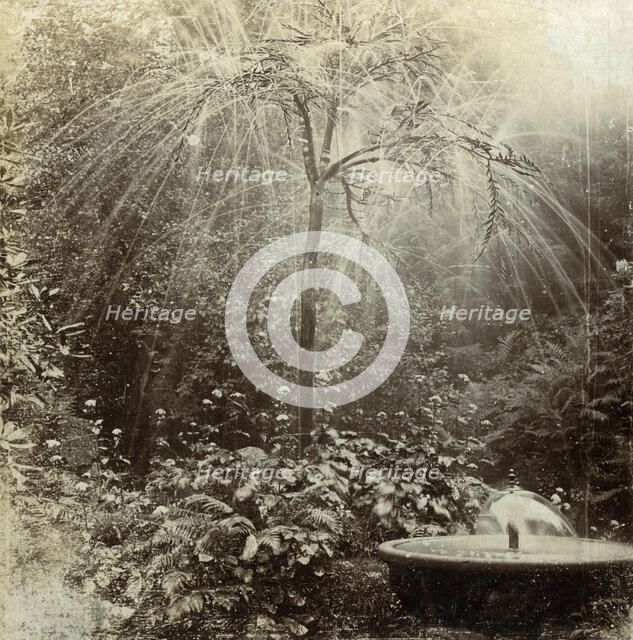 Willow Tree Fountain, Chatsworth, Derbyshire.Artist: The Fine Art Photographers Co