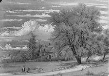 Willow Tree, Harlem Creek, New York, 1853. Creator: William Rickarby Miller