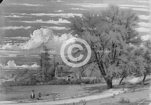 Willow Tree, Harlem Creek, New York, 1853. Creator: William Rickarby Miller.