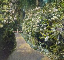 "Willowbank," Joseph Coleman Bright house, 624 Morris Avenue, Bryn Mawr, Pennsylvania, 1919. Creator: Frances Benjamin Johnston