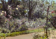 "Willowmere," Rear Admiral Aaron Ward house, 435 Bryant Avenue, Roslyn Harbor, New York, c1914. Creator: Frances Benjamin Johnston