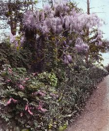 "Willowmere," Rear Admiral Aaron Ward house, 435 Bryant Avenue, Roslyn Harbor, New York, c1914. Creator: Frances Benjamin Johnston