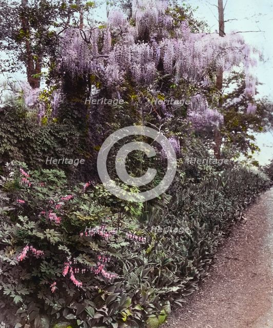 "Willowmere," Rear Admiral Aaron Ward house, 435 Bryant Avenue, Roslyn Harbor, New York, c1914. Creator: Frances Benjamin Johnston.